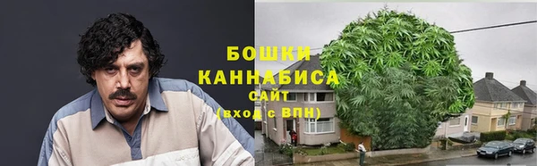 спиды Медногорск