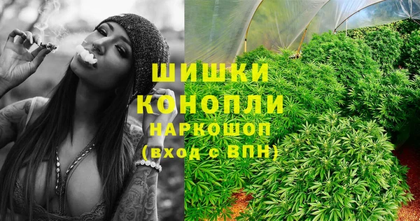 винт Майский