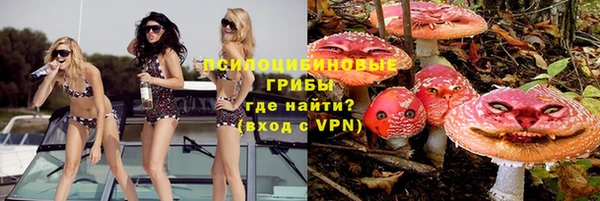 спиды Медногорск
