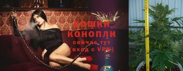 дурь Мегион