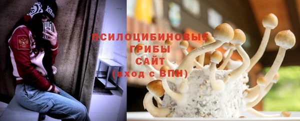 спиды Медногорск