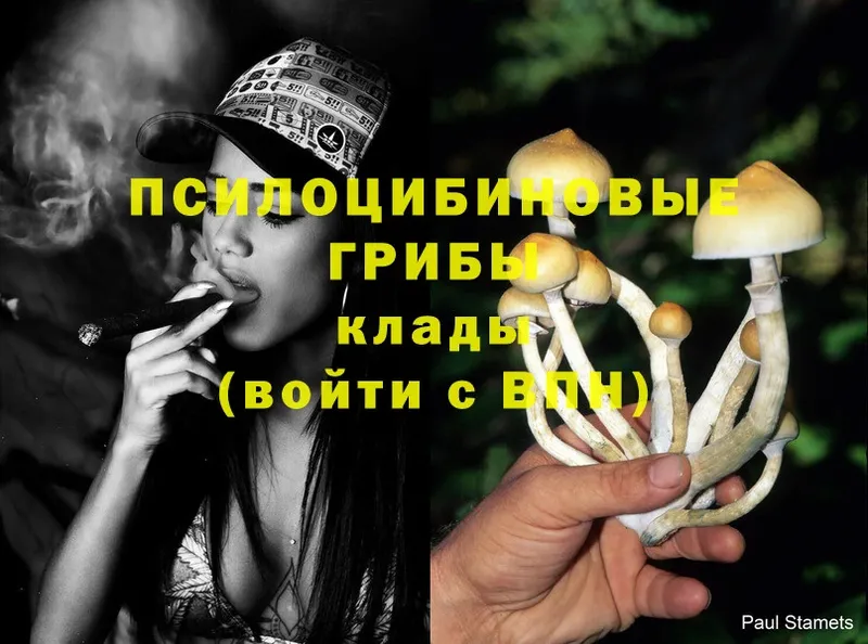 Псилоцибиновые грибы Magic Shrooms  Нытва 