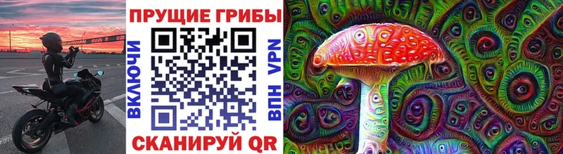 Псилоцибиновые грибы Psilocybine cubensis Нытва